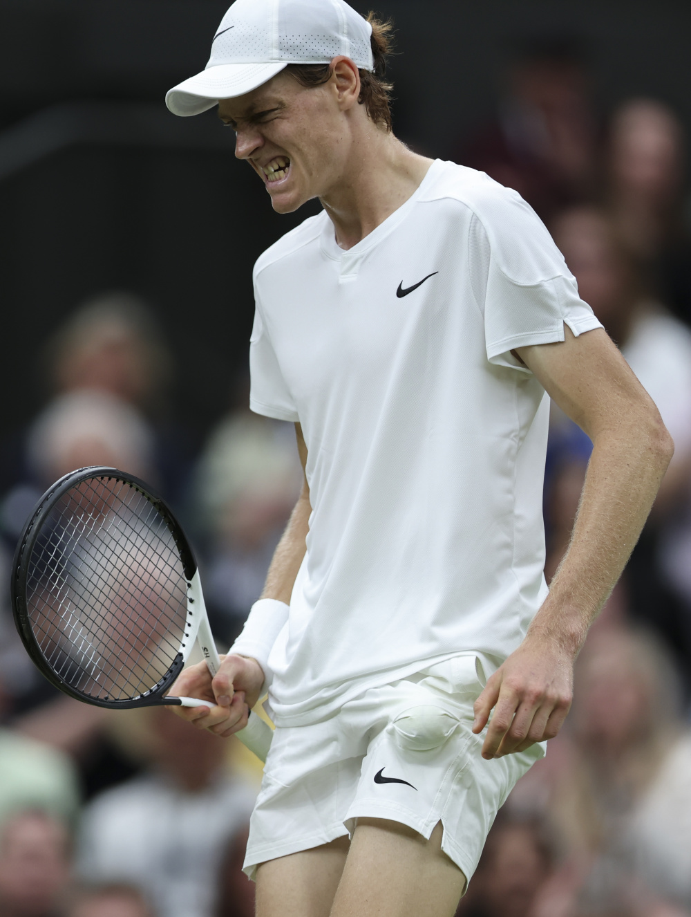 会不仅吸引 会不仅吸引