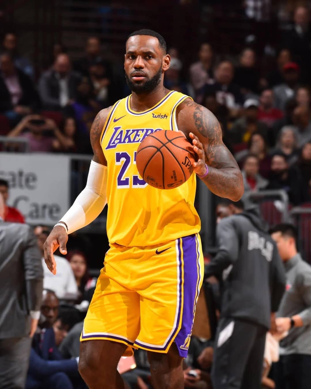 只会排位不 只会排位不