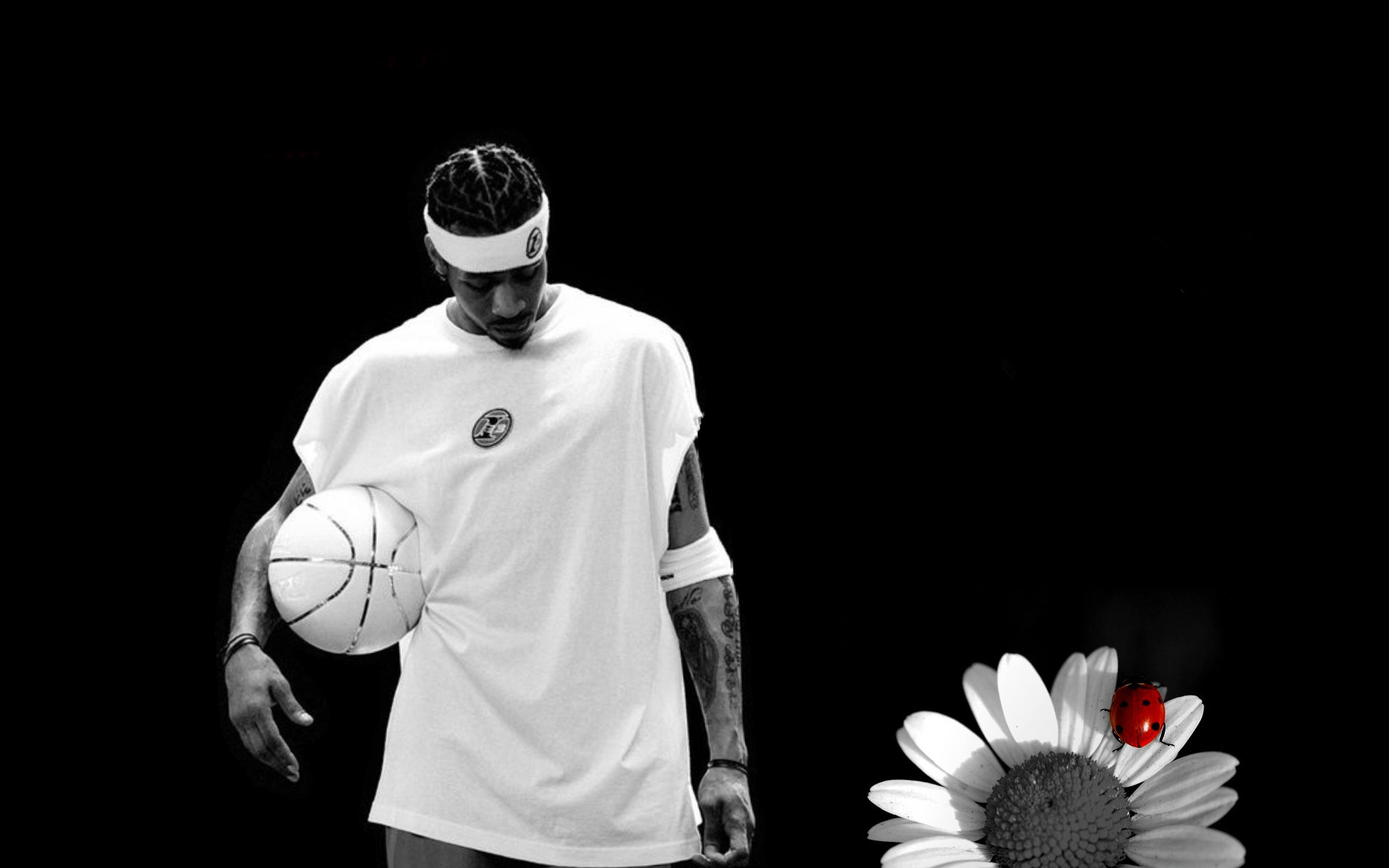 这也奠定了 这也奠定了